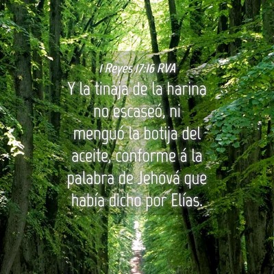 Picture 04 - 1 Reyes 17:16 RVA - Y la tinaja de la harina no escaseó, ni menguó - Bible Verse Picture