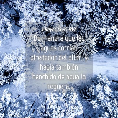 Picture 04 - 1 Reyes 18:35 RVA - De manera que las aguas corrían alrededor del - Bible Verse Picture