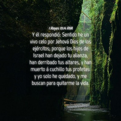 Picture 04 - 1 Reyes 19:14 RVA - Y él respondió: Sentido he un vivo celo por - Bible Verse Picture