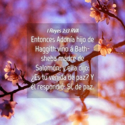 Picture 04 - 1 Reyes 2:13 RVA - Entonces Adonía hijo de Haggith vino á - Bible Verse Picture