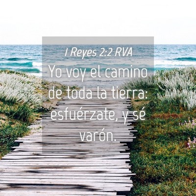 Picture 04 - 1 Reyes 2:2 RVA - Yo voy el camino de toda la tierra: esfuérzate, - Bible Verse Picture