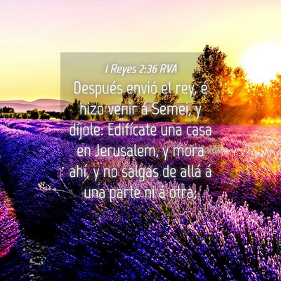 Picture 04 - 1 Reyes 2:36 RVA - Después envió el rey, é hizo venir á Semei, y - Bible Verse Picture