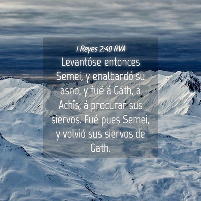 Picture 04 - 1 Reyes 2:40 RVA - Levantóse entonces Semei, y enalbardó su asno, - Bible Verse Picture