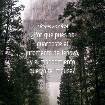 Picture 04 - 1 Reyes 2:43 RVA - ¿Por qué pues no guardaste el juramento de - Bible Verse Picture