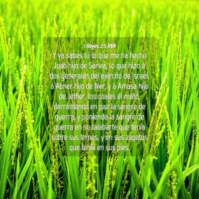 Picture 04 - 1 Reyes 2:5 RVA - Y ya sabes tú lo que me ha hecho Joab hijo de - Bible Verse Picture