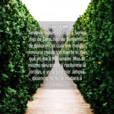 Picture 04 - 1 Reyes 2:8 RVA - También tienes contigo á Semei hijo de Gera, - Bible Verse Picture