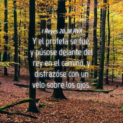 Picture 04 - 1 Reyes 20:38 RVA - Y el profeta se fué, y púsose delante del rey - Bible Verse Picture