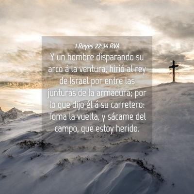 Picture 04 - 1 Reyes 22:34 RVA - Y un hombre disparando su arco á la ventura, - Bible Verse Picture