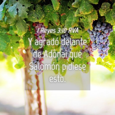 Picture 04 - 1 Reyes 3:10 RVA - Y agradó delante de Adonai que Salomón pidiese - Bible Verse Picture