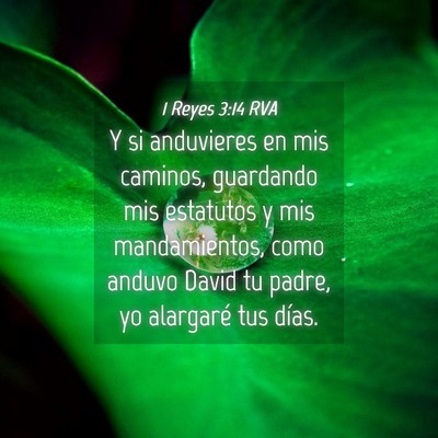 Picture 04 - 1 Reyes 3:14 RVA - Y si anduvieres en mis caminos, guardando mis - Bible Verse Picture