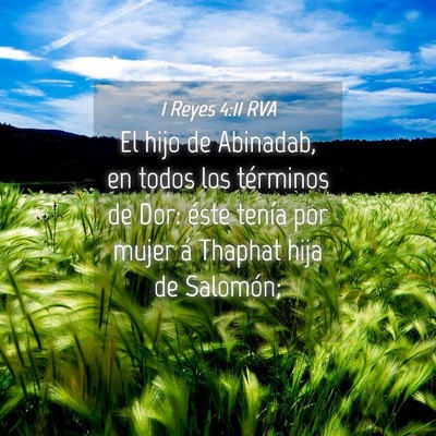 Picture 04 - 1 Reyes 4:11 RVA - El hijo de Abinadab, en todos los términos de - Bible Verse Picture