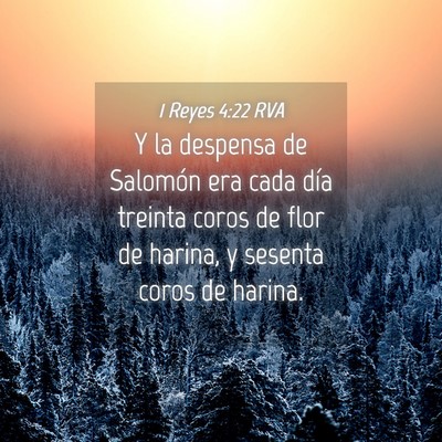 Picture 04 - 1 Reyes 4:22 RVA - Y la despensa de Salomón era cada día treinta - Bible Verse Picture