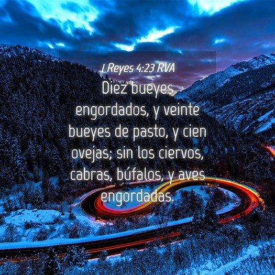 Picture 04 - 1 Reyes 4:23 RVA - Diez bueyes engordados, y veinte bueyes de pasto, - Bible Verse Picture