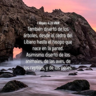 Picture 04 - 1 Reyes 4:33 RVA - También disertó de los árboles, desde el cedro - Bible Verse Picture