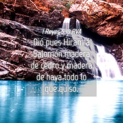 Picture 04 - 1 Reyes 5:10 RVA - Dió pues Hiram á Salomón madera de cedro y - Bible Verse Picture