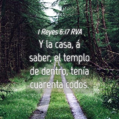 Picture 04 - 1 Reyes 6:17 RVA - Y la casa, á saber, el templo de dentro, tenía - Bible Verse Picture