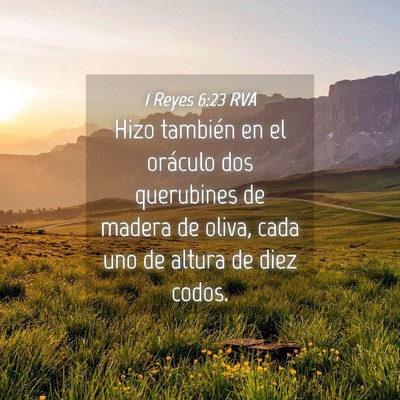 Picture 04 - 1 Reyes 6:23 RVA - Hizo también en el oráculo dos querubines de - Bible Verse Picture