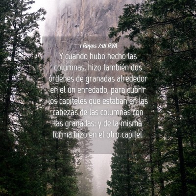 Picture 04 - 1 Reyes 7:18 RVA - Y cuando hubo hecho las columnas, hizo también - Bible Verse Picture