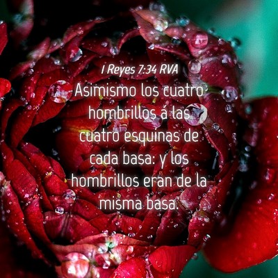 Picture 04 - 1 Reyes 7:34 RVA - Asimismo los cuatro hombrillos á las cuatro - Bible Verse Picture