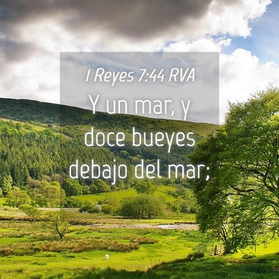 Picture 04 - 1 Reyes 7:44 RVA - Y un mar, y doce bueyes debajo del - Bible Verse Picture