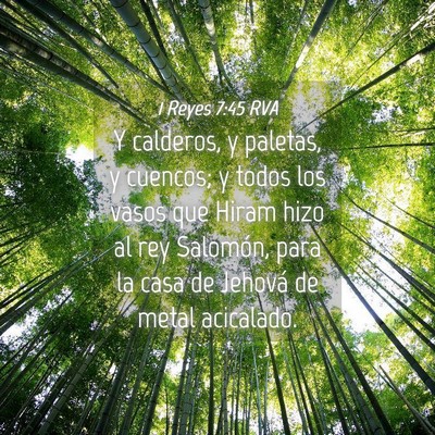 Picture 04 - 1 Reyes 7:45 RVA - Y calderos, y paletas, y cuencos; y todos los - Bible Verse Picture