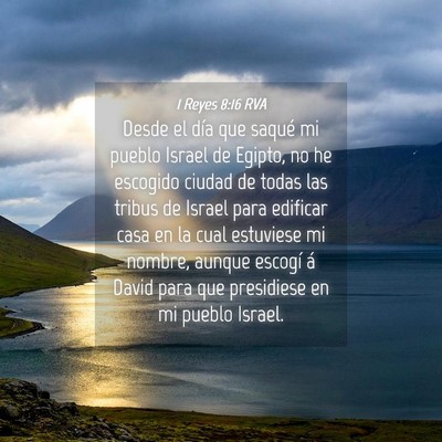 Picture 04 - 1 Reyes 8:16 RVA - Desde el día que saqué mi pueblo Israel de - Bible Verse Picture