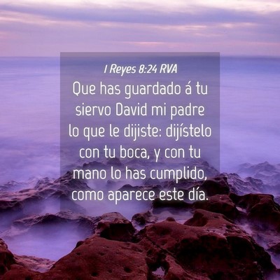 Picture 04 - 1 Reyes 8:24 RVA - Que has guardado á tu siervo David mi padre lo - Bible Verse Picture
