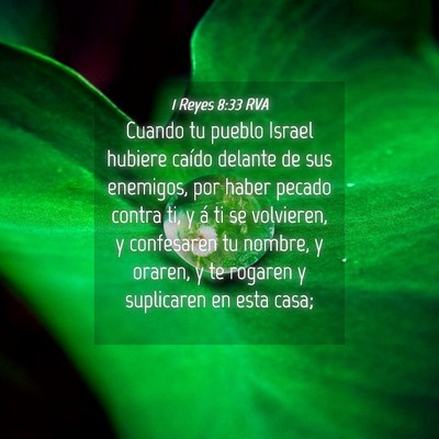 Picture 04 - 1 Reyes 8:33 RVA - Cuando tu pueblo Israel hubiere caído delante de - Bible Verse Picture