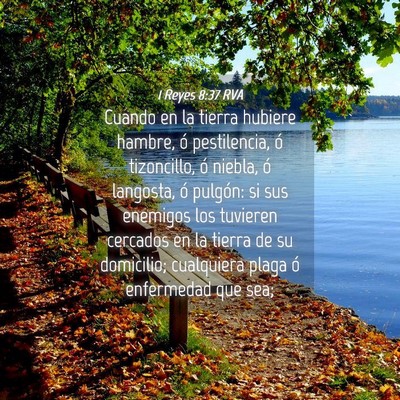 Picture 04 - 1 Reyes 8:37 RVA - Cuando en la tierra hubiere hambre, ó - Bible Verse Picture