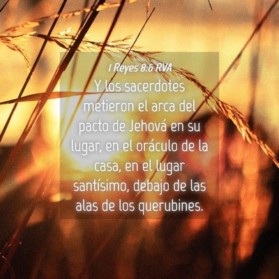 Picture 04 - 1 Reyes 8:6 RVA - Y los sacerdotes metieron el arca del pacto de - Bible Verse Picture