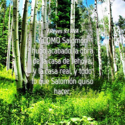 Picture 04 - 1 Reyes 9:1 RVA - Y COMO Salomón hubo acabado la obra de la casa - Bible Verse Picture