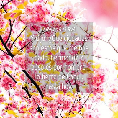 Picture 04 - 1 Reyes 9:13 RVA - Y dijo: ¿Qué ciudades son estas que me has - Bible Verse Picture