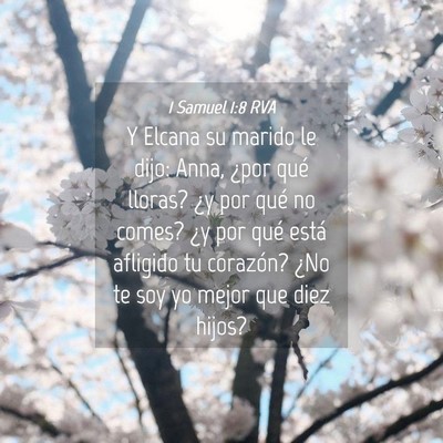 Picture 04 - 1 Samuel 1:8 RVA - Y Elcana su marido le dijo: Anna, ¿por qué - Bible Verse Picture