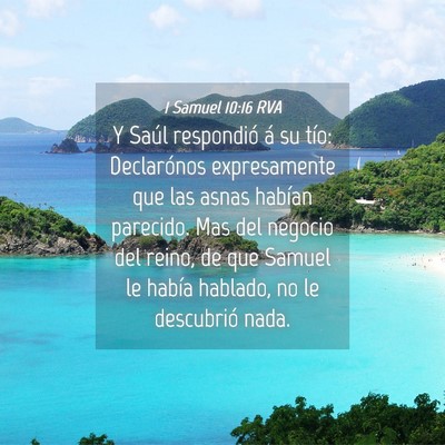 Picture 04 - 1 Samuel 10:16 RVA - Y Saúl respondió á su tío: Declarónos - Bible Verse Picture