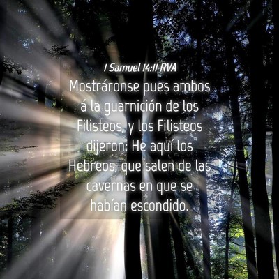 Picture 04 - 1 Samuel 14:11 RVA - Mostráronse pues ambos á la guarnición de los - Bible Verse Picture