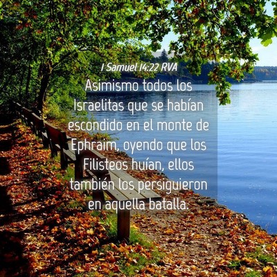 Picture 04 - 1 Samuel 14:22 RVA - Asimismo todos los Israelitas que se habían - Bible Verse Picture