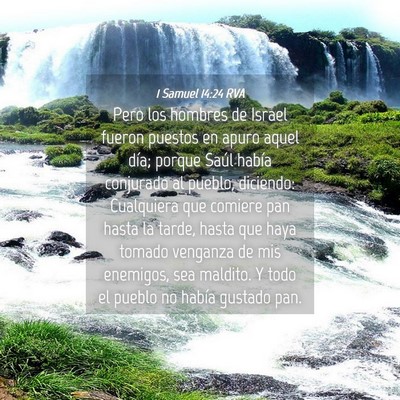 Picture 04 - 1 Samuel 14:24 RVA - Pero los hombres de Israel fueron puestos en - Bible Verse Picture