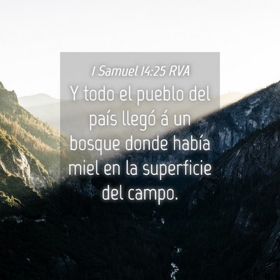 Picture 04 - 1 Samuel 14:25 RVA - Y todo el pueblo del país llegó á un bosque - Bible Verse Picture