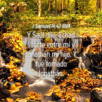 Picture 04 - 1 Samuel 14:42 RVA - Y Saúl dijo: Echad suerte entre mí y Jonathán - Bible Verse Picture