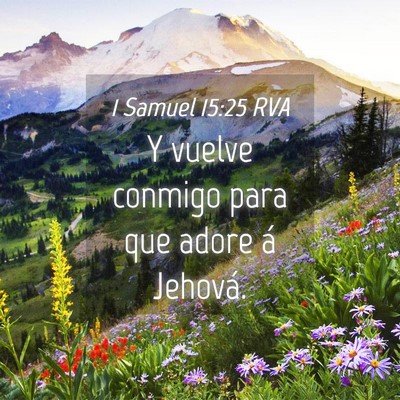 Picture 04 - 1 Samuel 15:25 RVA - Y vuelve conmigo para que adore á - Bible Verse Picture