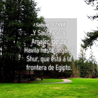 Picture 04 - 1 Samuel 15:7 RVA - Y Saúl hirió á Amalec, desde Havila hasta - Bible Verse Picture