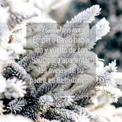 Picture 04 - 1 Samuel 17:15 RVA - Empero David había ido y vuelto de con Saúl, - Bible Verse Picture