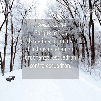 Picture 04 - 1 Samuel 17:21 RVA - Porque así los Israelitas como los Filisteos - Bible Verse Picture