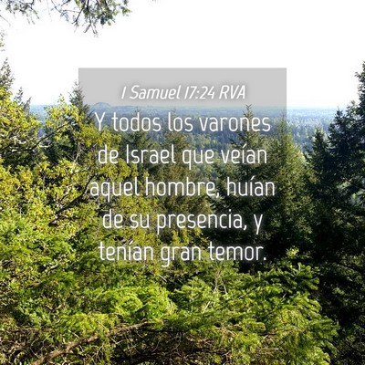 Picture 04 - 1 Samuel 17:24 RVA - Y todos los varones de Israel que veían aquel - Bible Verse Picture