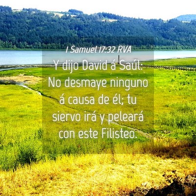 Picture 04 - 1 Samuel 17:32 RVA - Y dijo David á Saúl: No desmaye ninguno á - Bible Verse Picture