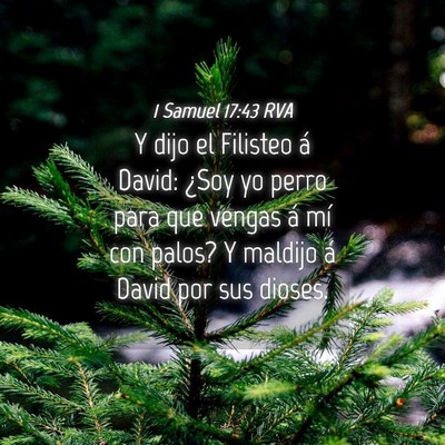 Picture 04 - 1 Samuel 17:43 RVA - Y dijo el Filisteo á David: ¿Soy yo perro para - Bible Verse Picture