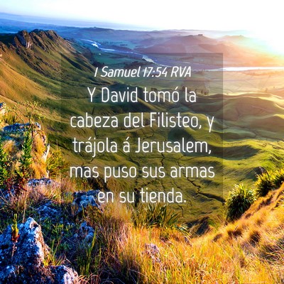 Picture 04 - 1 Samuel 17:54 RVA - Y David tomó la cabeza del Filisteo, y trájola - Bible Verse Picture