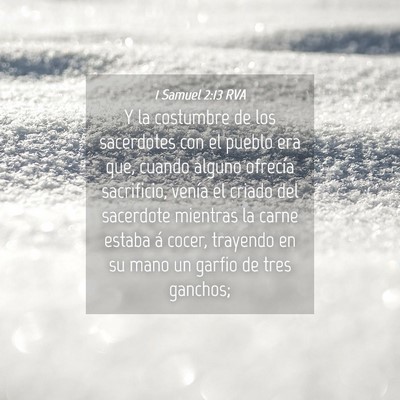 Picture 04 - 1 Samuel 2:13 RVA - Y la costumbre de los sacerdotes con el pueblo - Bible Verse Picture