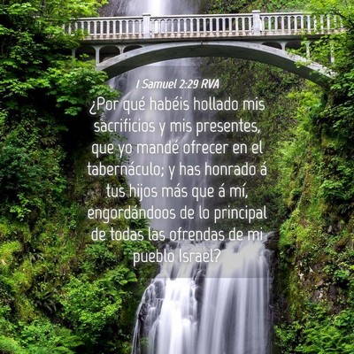 Picture 04 - 1 Samuel 2:29 RVA - ¿Por qué habéis hollado mis sacrificios y mis - Bible Verse Picture