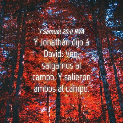 Picture 04 - 1 Samuel 20:11 RVA - Y Jonathán dijo á David: Ven, salgamos al - Bible Verse Picture